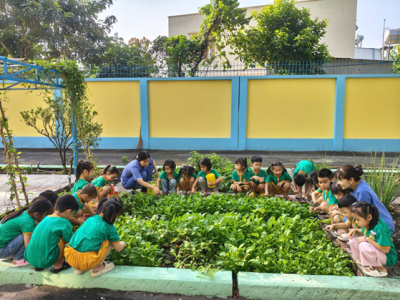 🌱 Bé lớp Lá 2 tham quan – trải nghiệm vườn rau của trường 🌱